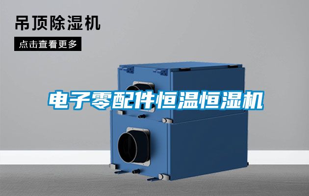 电子零配件恒温恒湿机