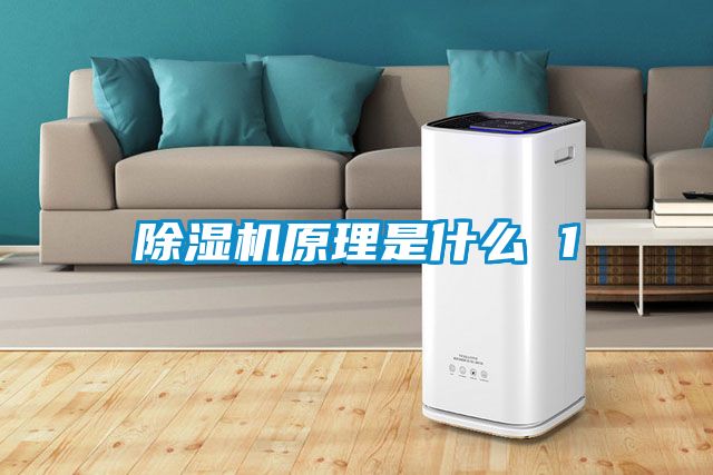 除湿机原理是什么 1