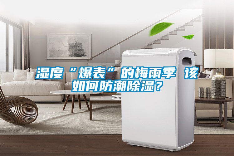 湿度“爆表”的梅雨季 该如何防潮除湿？