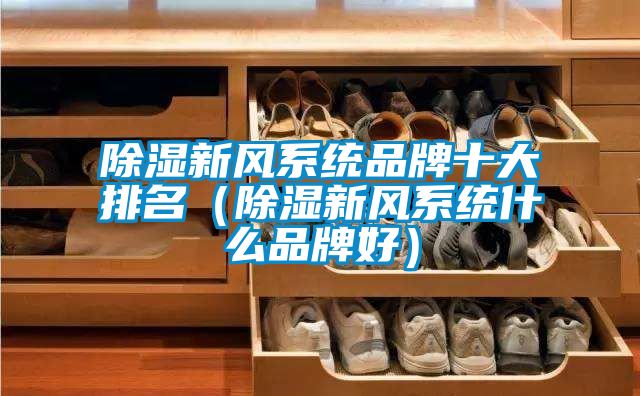 除湿新风系统品牌十大排名（除湿新风系统什么品牌好）