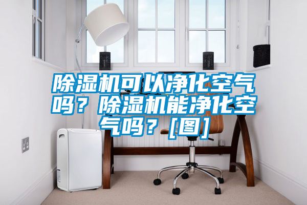 除湿机可以净化空气吗？除湿机能净化空气吗？[图]