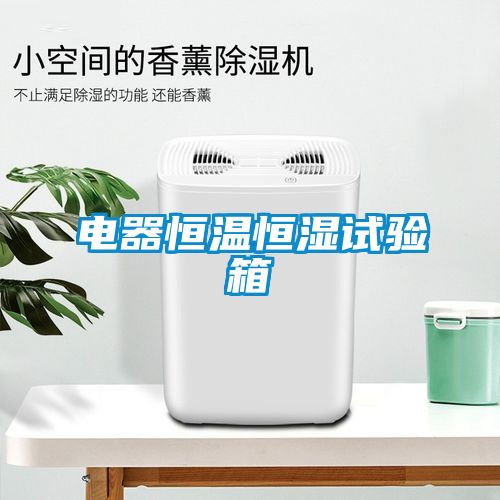 电器恒温恒湿试验箱