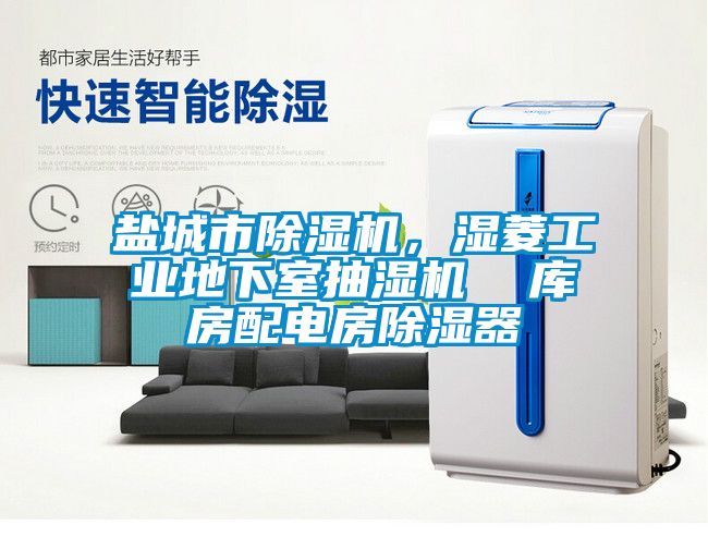 盐城市除湿机，湿菱工业地下室抽湿机  库房配电房除湿器