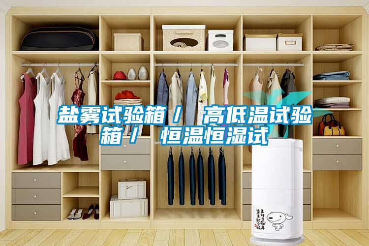 盐雾试验箱／ 高低温试验箱／ 恒温恒湿试