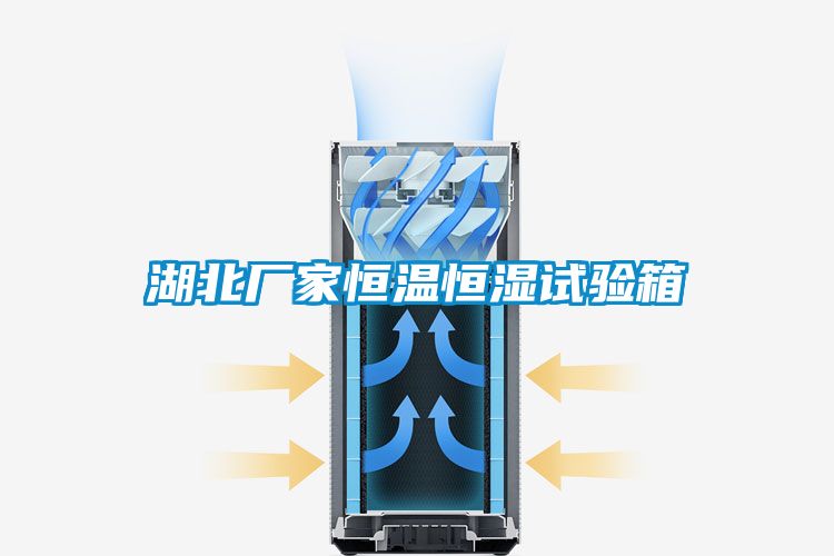 湖北厂家恒温恒湿试验箱