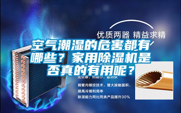 空气潮湿的危害都有哪些？家用除湿机是否真的有用呢？