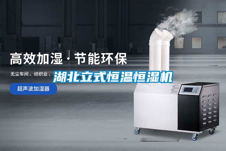 湖北立式恒温恒湿机