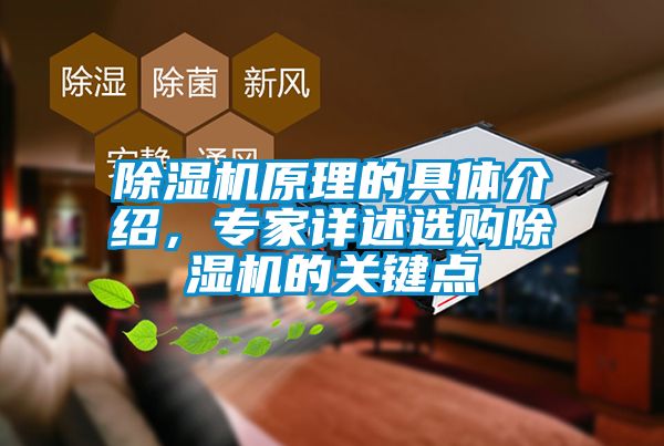 除湿机原理的具体介绍，专家详述选购除湿机的关键点