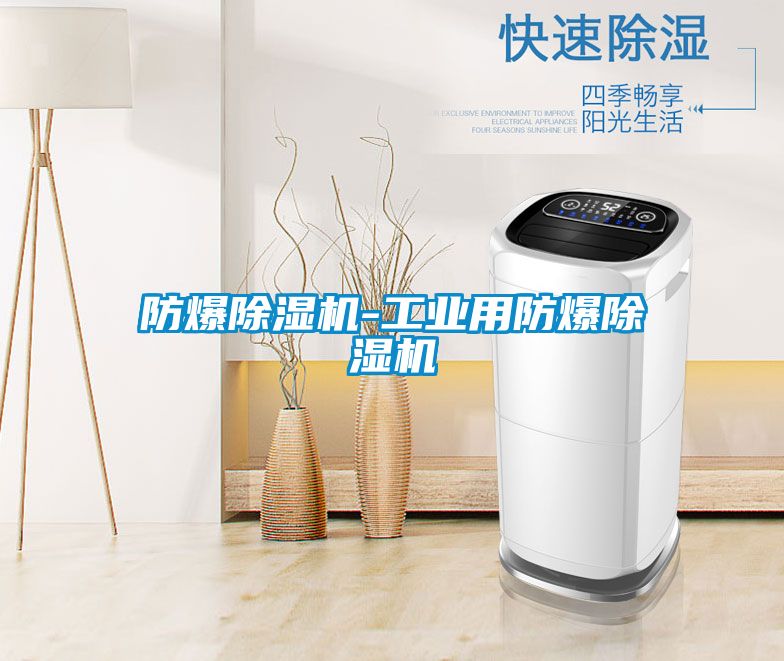 防爆除湿机-工业用防爆除湿机
