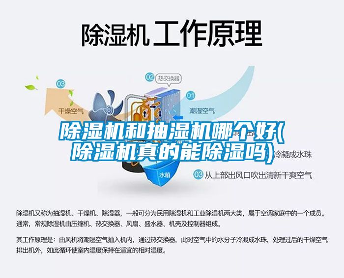 除湿机和抽湿机哪个好(除湿机真的能除湿吗)
