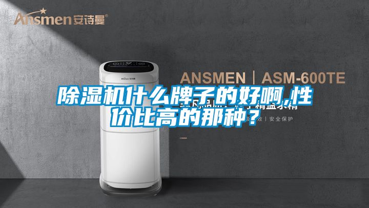 除湿机什么牌子的好啊,性价比高的那种？
