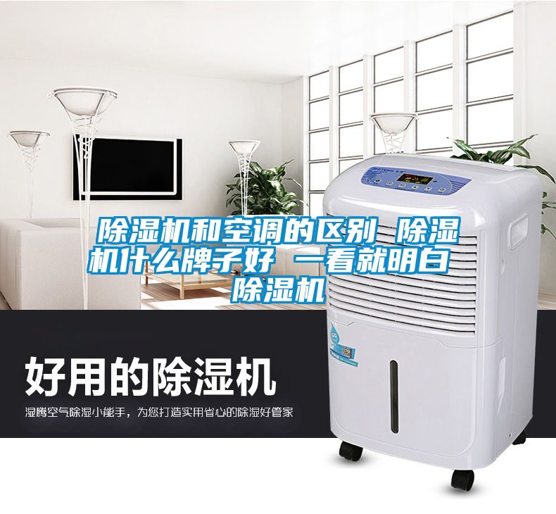 除湿机和空调的区别 除湿机什么牌子好 一看就明白 除湿机