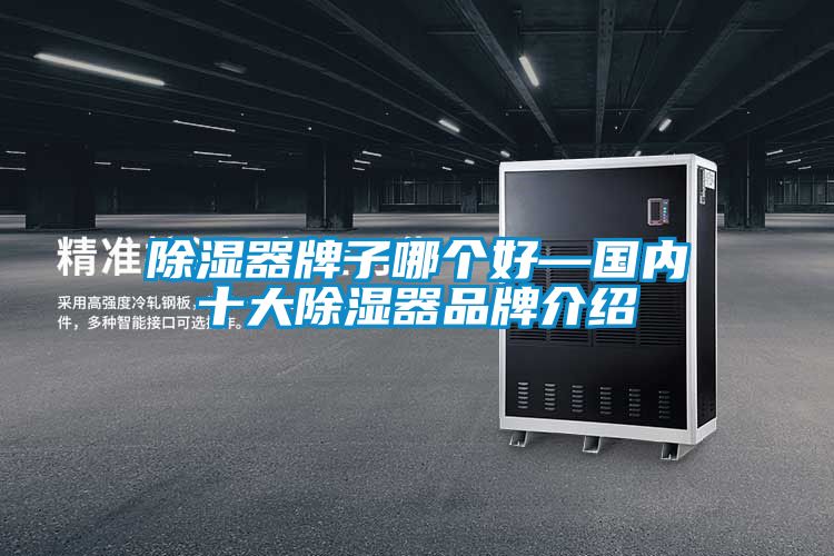 除湿器牌子哪个好—国内十大除湿器品牌介绍