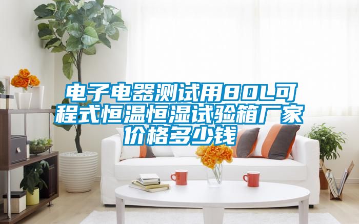 电子电器测试用80L可程式恒温恒湿试验箱厂家价格多少钱