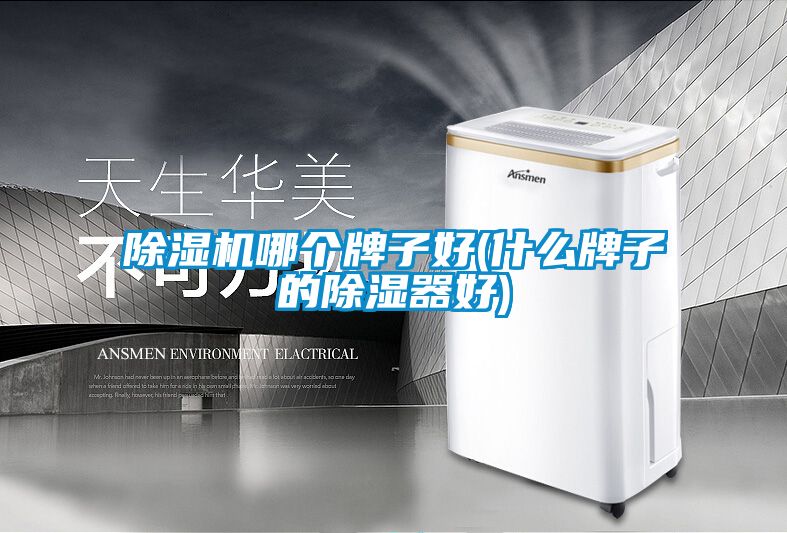 除湿机哪个牌子好(什么牌子的除湿器好)