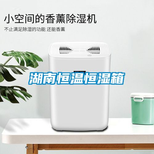 湖南恒温恒湿箱