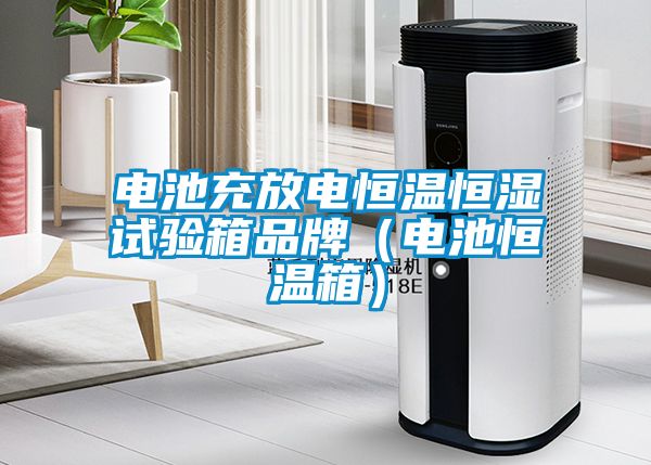 电池充放电恒温恒湿试验箱品牌（电池恒温箱）