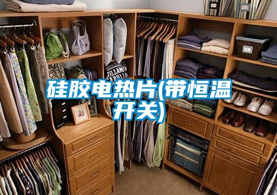 硅胶电热片(带恒温开关)
