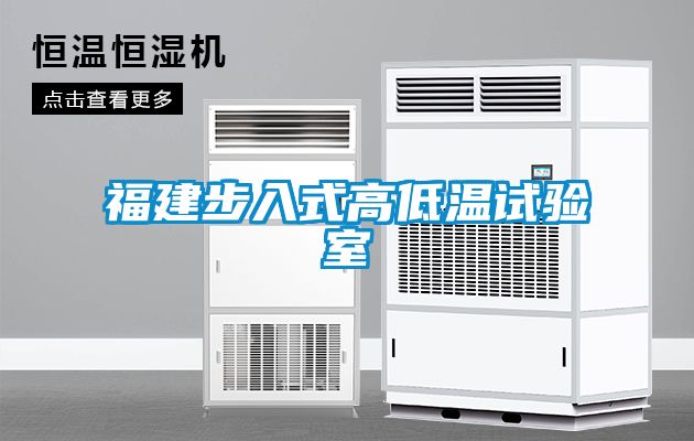 福建步入式高低温试验室