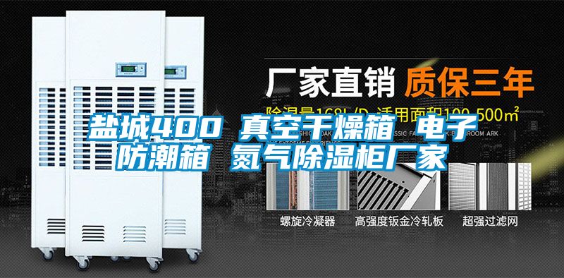 盐城400℃真空干燥箱 电子防潮箱 氮气除湿柜厂家