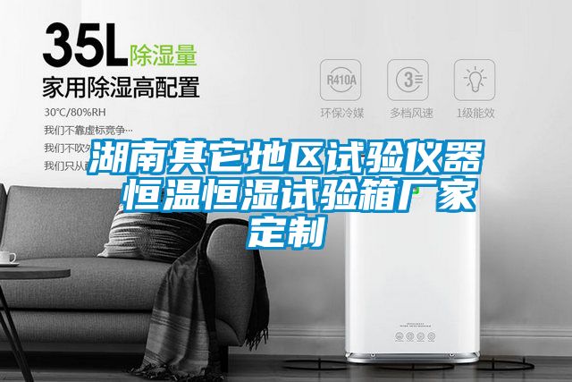 湖南其它地区试验仪器 恒温恒湿试验箱厂家定制