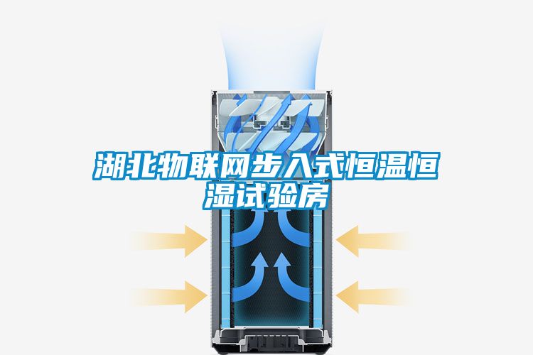 湖北物联网步入式恒温恒湿试验房