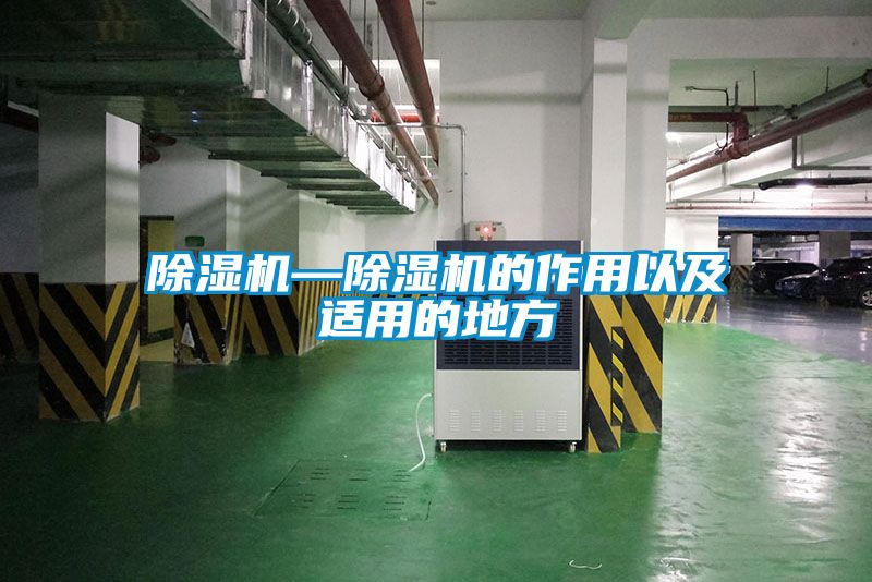 除湿机—除湿机的作用以及适用的地方
