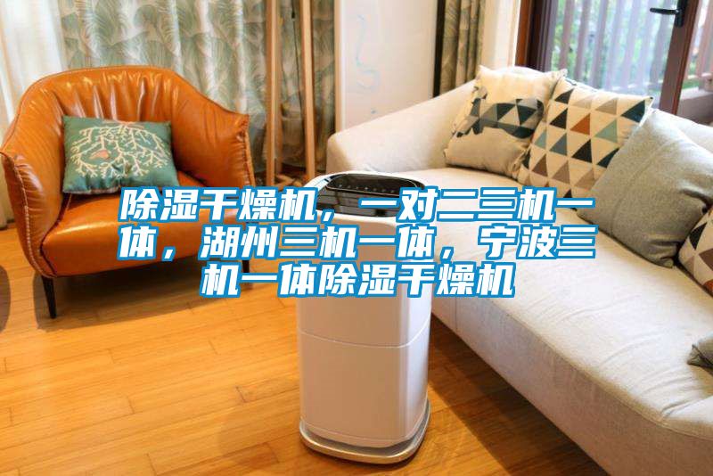 除湿干燥机，一对二三机一体，湖州三机一体，宁波三机一体除湿干燥机