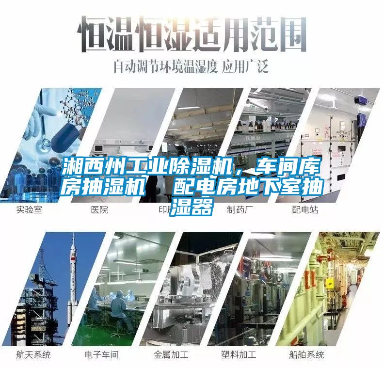 湘西州工业除湿机，车间库房抽湿机  配电房地下室抽湿器