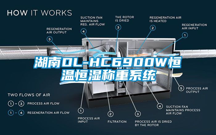 湖南DL-HC6900W恒温恒湿称重系统