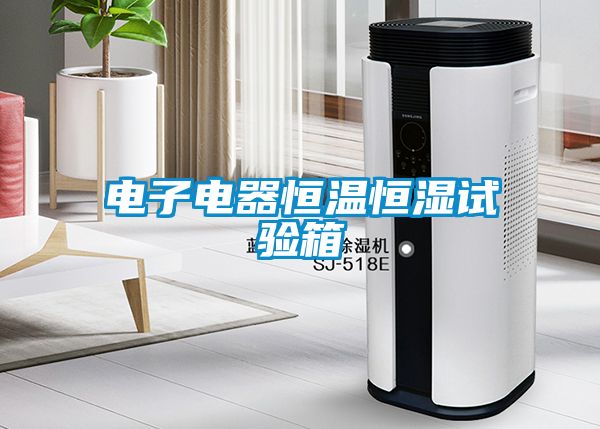 电子电器恒温恒湿试验箱