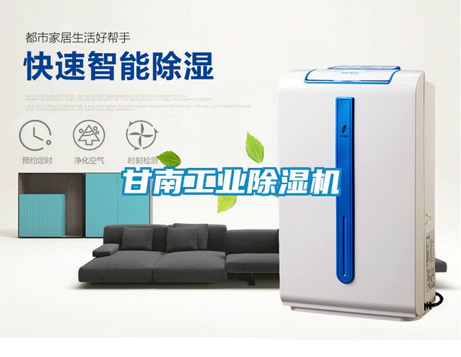 甘南工业除湿机