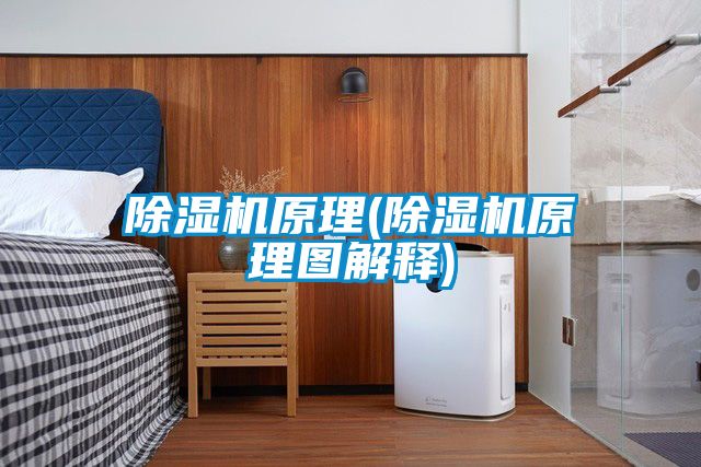 除湿机原理(除湿机原理图解释)