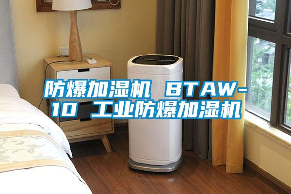 防爆加湿机 BTAW-10 工业防爆加湿机