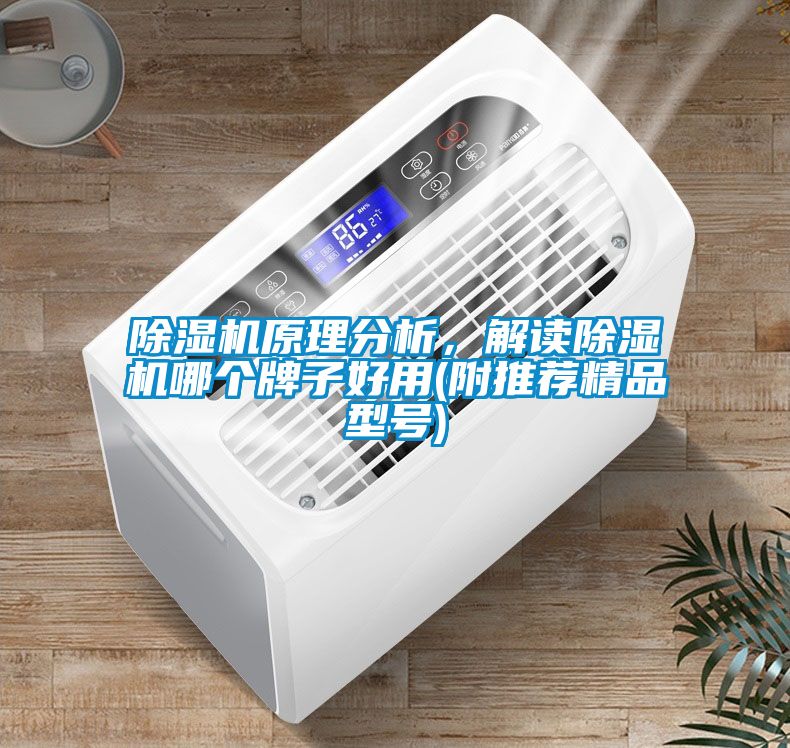 除湿机原理分析，解读除湿机哪个牌子好用(附推荐精品型号)