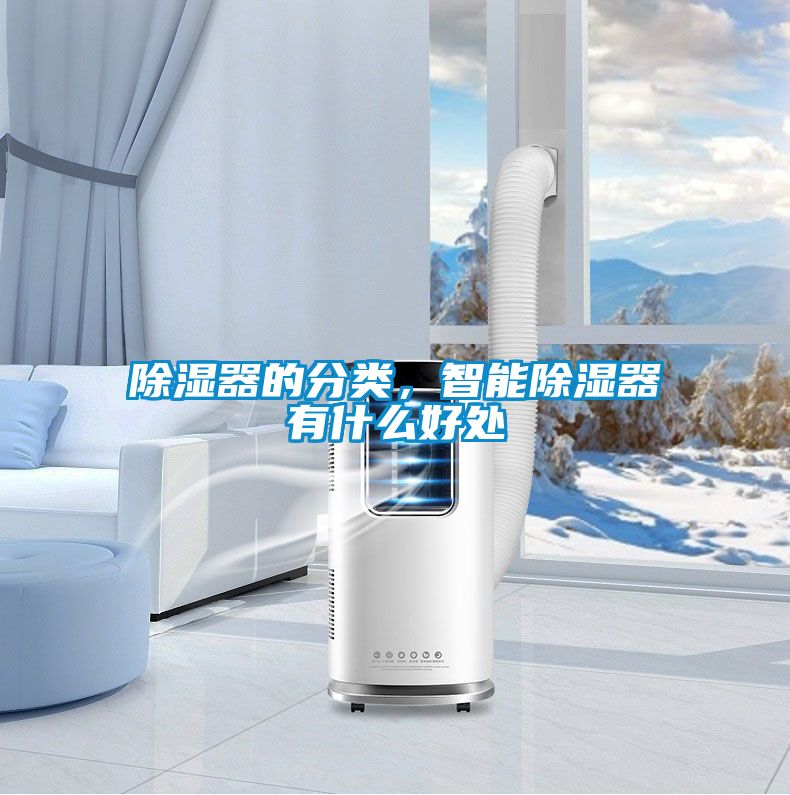 除湿器的分类，智能除湿器有什么好处