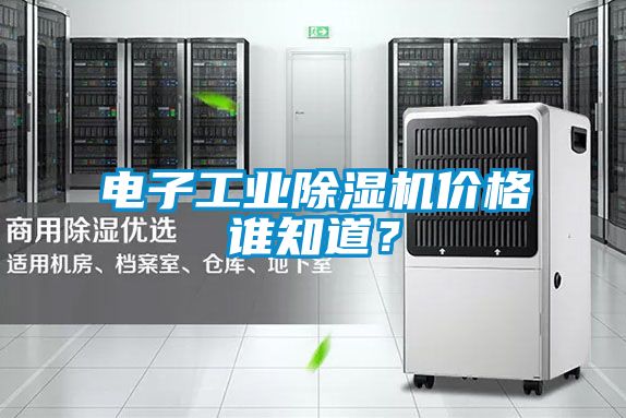 电子工业除湿机价格谁知道？