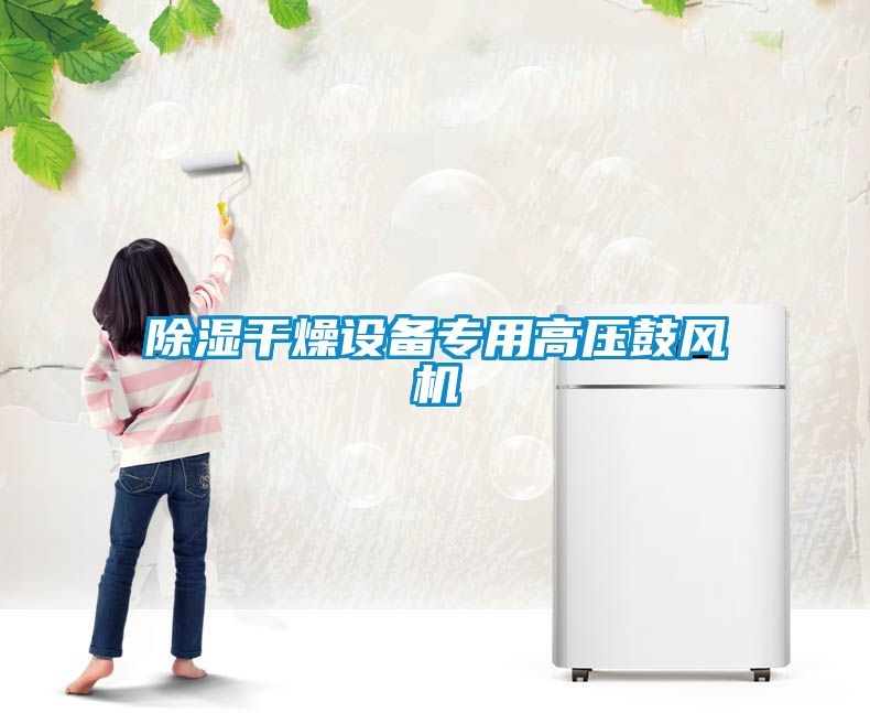 除湿干燥设备专用高压鼓风机