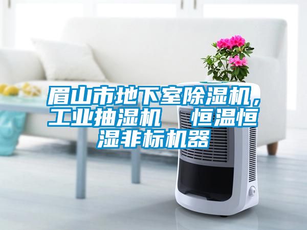 眉山市地下室除湿机，工业抽湿机  恒温恒湿非标机器