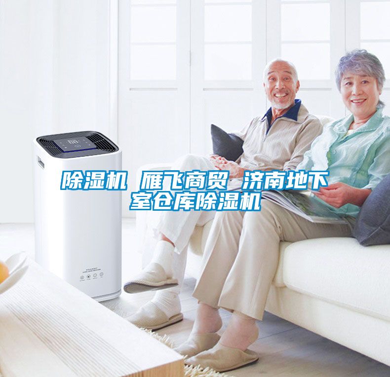 除湿机 雁飞商贸 济南地下室仓库除湿机