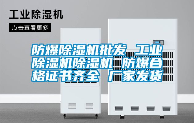 防爆除湿机批发 工业除湿机除湿机 防爆合格证书齐全 厂家发货