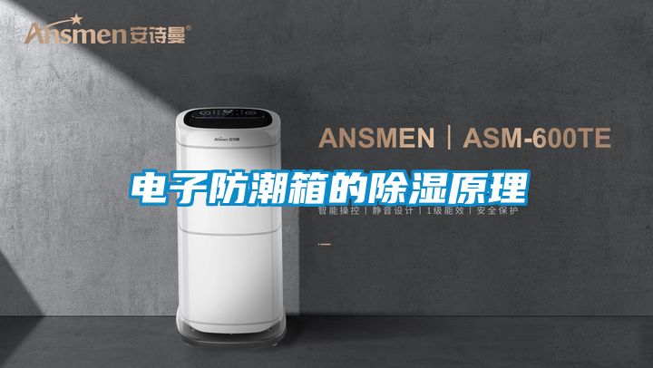 电子防潮箱的除湿原理