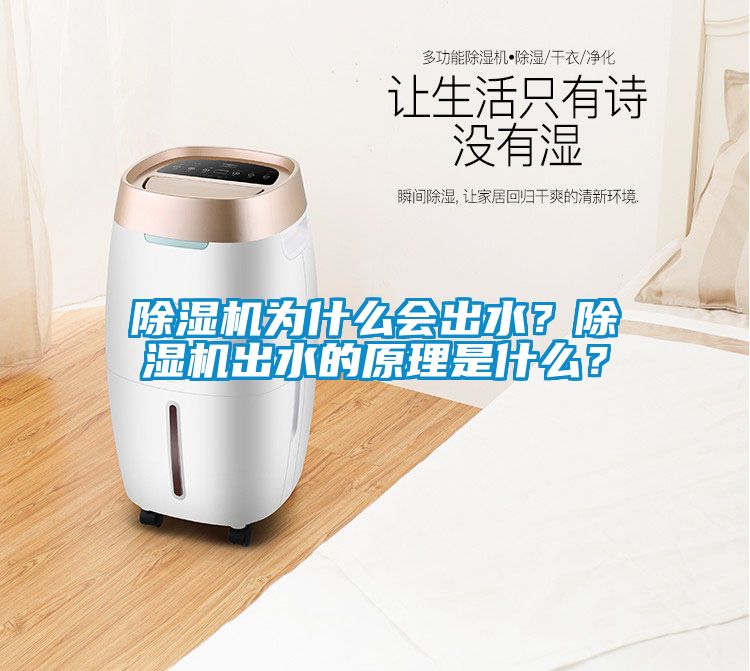 除湿机为什么会出水？除湿机出水的原理是什么？