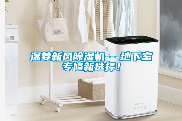 湿菱新风除湿机---地下室专修新选择！