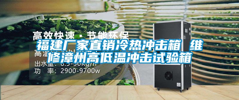 福建厂家直销冷热冲击箱 维修漳州高低温冲击试验箱