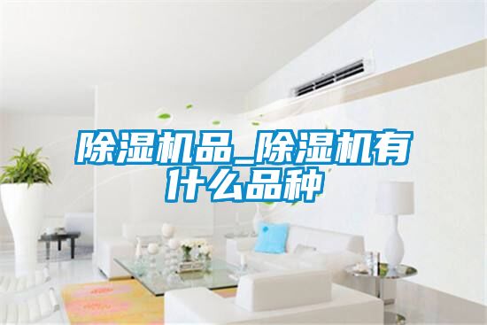 除湿机品_除湿机有什么品种