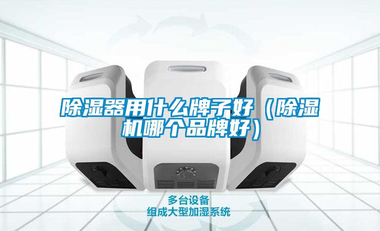 除湿器用什么牌子好（除湿机哪个品牌好）