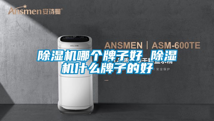 除湿机哪个牌子好 除湿机什么牌子的好