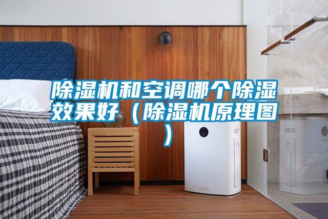 除湿机和空调哪个除湿效果好（除湿机原理图）
