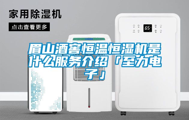眉山酒窖恒温恒湿机是什么服务介绍「至力电子」